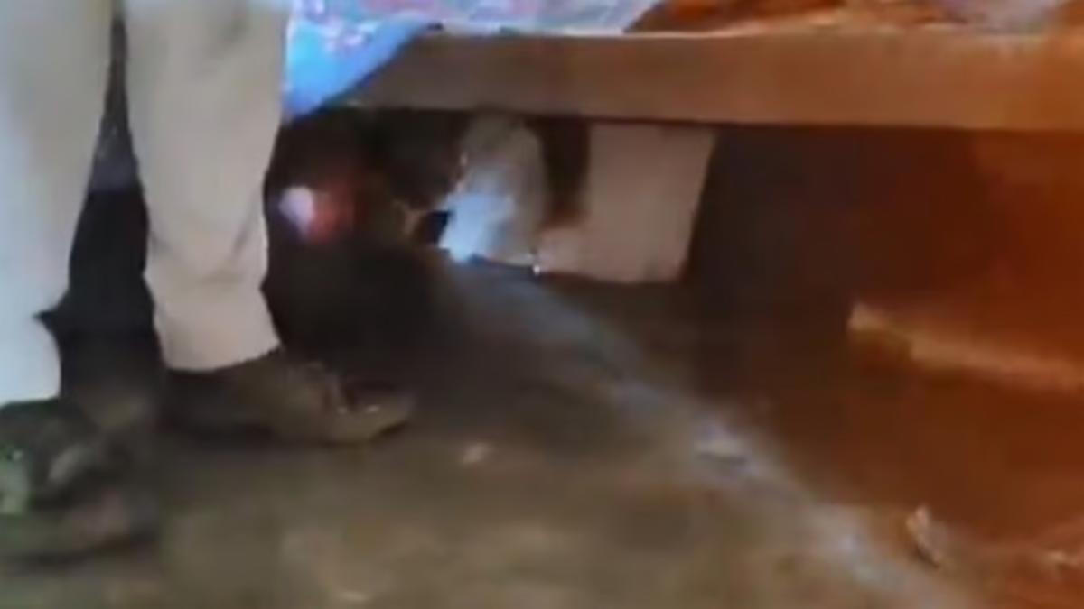 TMC Leader Hides Under Bed to Escape Mob
